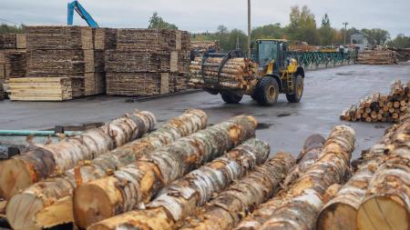 Українська універсальна біржа: гуртові ціни на деревину у Харкові та інших регіонах